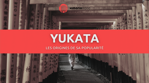 Qu'est ce qu'un Yukata ?